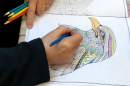 Renew Colouring
